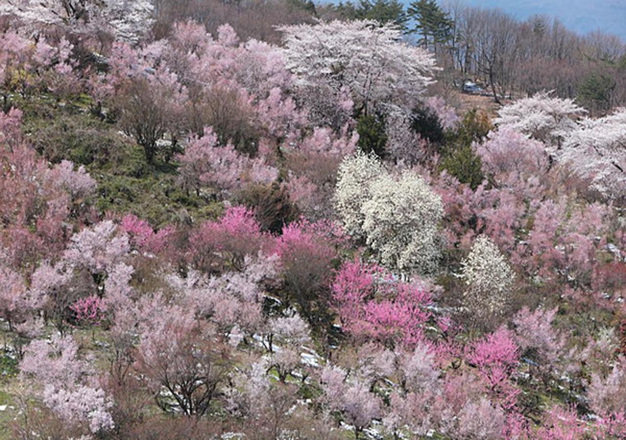 土湯温泉 やすらぎの宿 向瀧旅館 Fukushima  Zewnętrze zdjęcie